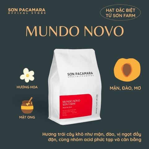 (New Crop 2025) Gói Đặc Biệt Mundo Novo Micro Lot Từ Sơn Farm, Hương Tinh Tế , Rang Nhạt, Gói 100gr/250gr
