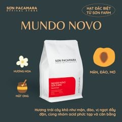 (New Crop 2025) Gói Đặc Biệt Mundo Novo Micro Lot Từ Sơn Farm, Hương Tinh Tế , Rang Nhạt, Gói 100gr/250gr