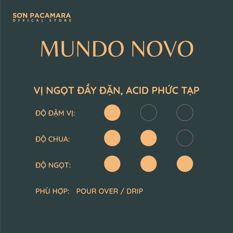(New Crop 2025) Gói Đặc Biệt Mundo Novo Micro Lot Từ Sơn Farm, Hương Tinh Tế , Rang Nhạt, Gói 100gr/250gr