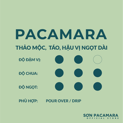 Gói Pacamara - Sơn Farm - Phù Hợp Pour Over - Rang Nhạt