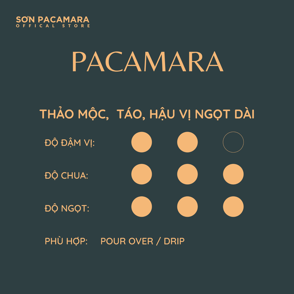 (New Crop 2025) Gói Đặc Biệt Pacamara Micro Lot Từ Sơn Farm, Vị Ngọt Dày, Gói 100gr/250gr