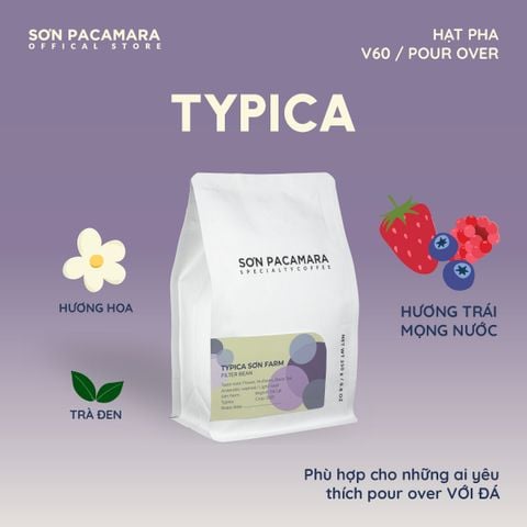 (New Crop 2025) Cà Phê Pour Over  Gói Typica, 100% Specialty Coffee Đà Lạt, Vị Dày Phù Hợp Pha Đá, Rang Nhạt, Gói 250gr / 500gr