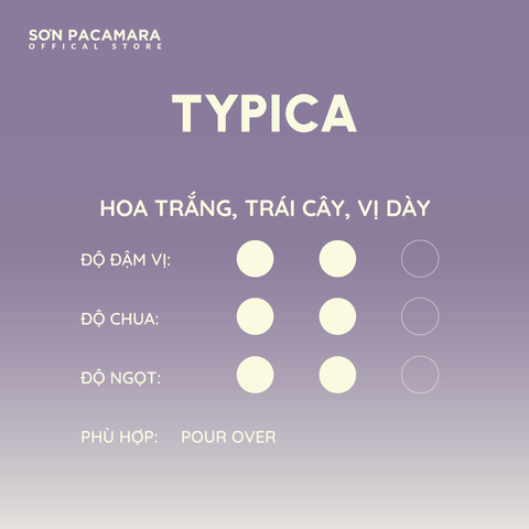 (Tiết kiệm 100K) Combo 1KG Typica Gói 250gr / 500gr - Phù Hợp Pha Pour Over