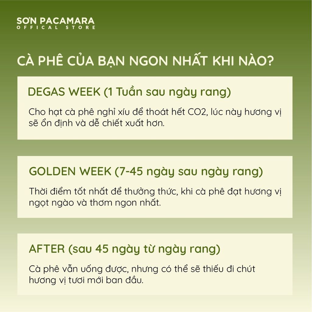 (Tiết kiệm 95K) Combo 1KG Lang Biang Gói 250gr / 500gr - Phù Hợp Pha Pour Over