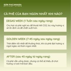 (New Crop 2025) Gói Đặc Biệt Pacamara Micro Lot Từ Sơn Farm, Vị Ngọt Dày, Gói 100gr/250gr