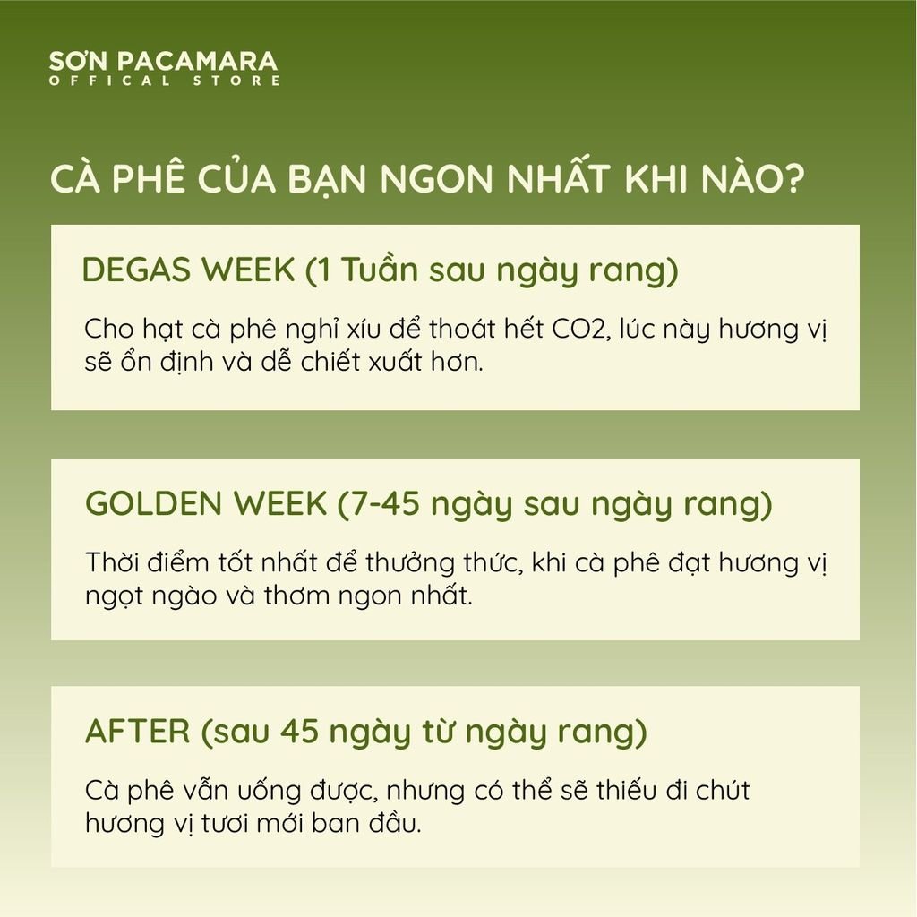(Tiết kiệm 100K) Combo 1KG Bourbon Gói 250gr / 500gr - Phù Hợp Pha Pour Over