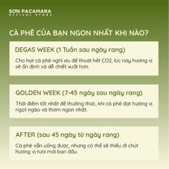 (New Crop 2025) Cà Phê Pour Over Gói Lang Biang, 100% Specialty Coffee Lạc Dương, Hương Trái Cây Nhiệt Đới, Rang Nhạt, Gói 250gr / 500gr