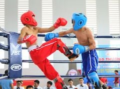 Găng Thi Đấu Fighter - Boxing, Muay, KickBoxing, Tán Thủ, Võ Cổ Truyền Vovinam