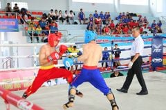 Găng Boxing Fighter Cao Cấp Thi Đấu - Boxing, KickBoxing, Võ Cổ Truyền, Muay Thái