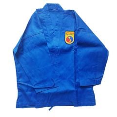 Võ Phục Vovinam