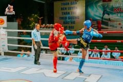 Găng Boxing Fighter Cao Cấp Thi Đấu - Boxing, KickBoxing, Võ Cổ Truyền, Muay Thái