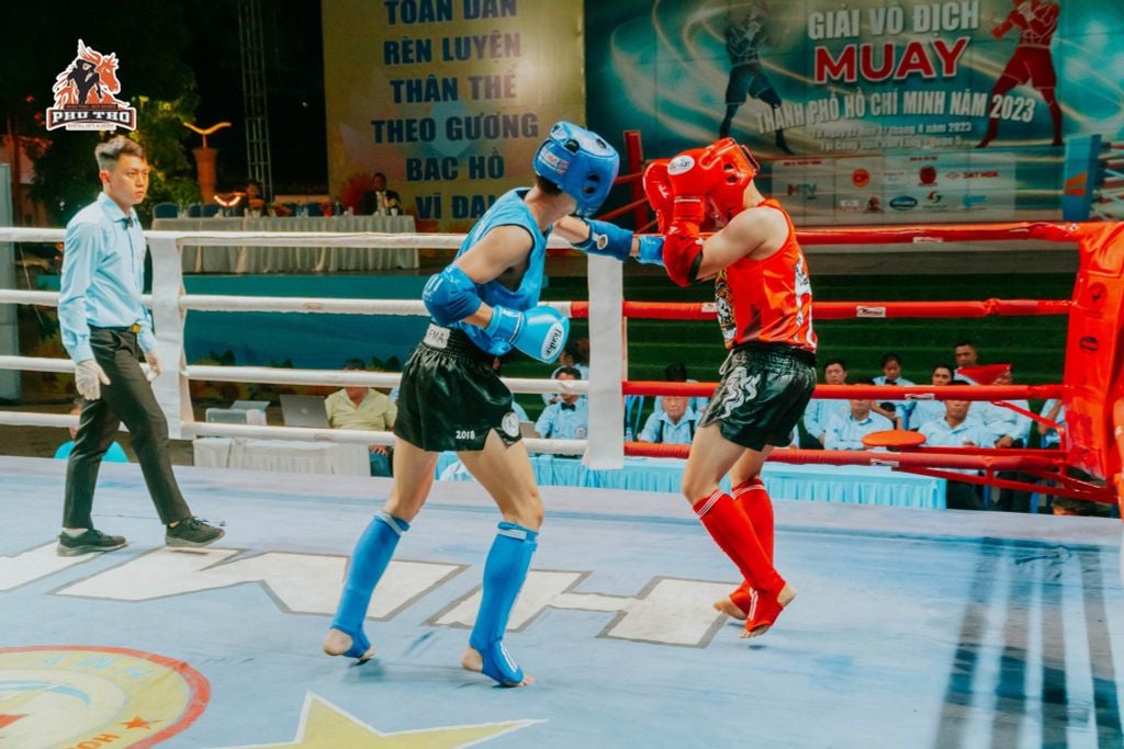 Găng Thi Đấu Fighter - Boxing, Muay, KickBoxing, Tán Thủ, Võ Cổ Truyền Vovinam