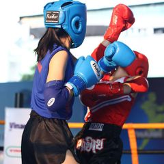 Giáp Chỏ Fighter Thi Đấu Cao Cấp - GCF-020CC