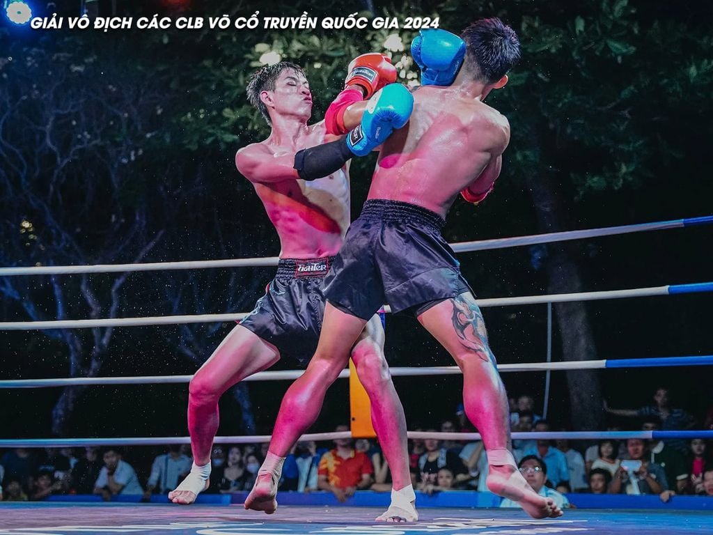 Găng Thi Đấu Fighter - Boxing, Muay, KickBoxing, Tán Thủ, Võ Cổ Truyền Vovinam