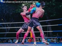 Găng Thi Đấu Fighter - Boxing, Muay, KickBoxing, Tán Thủ, Võ Cổ Truyền Vovinam