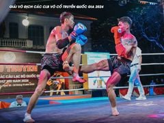 Găng Thi Đấu Fighter - Boxing, Muay, KickBoxing, Tán Thủ, Võ Cổ Truyền Vovinam