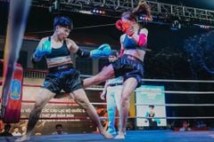Găng Fighter Cao Cấp Thi Đấu - Boxing, KickBoxing, Võ Cổ Truyền, Muay Thái