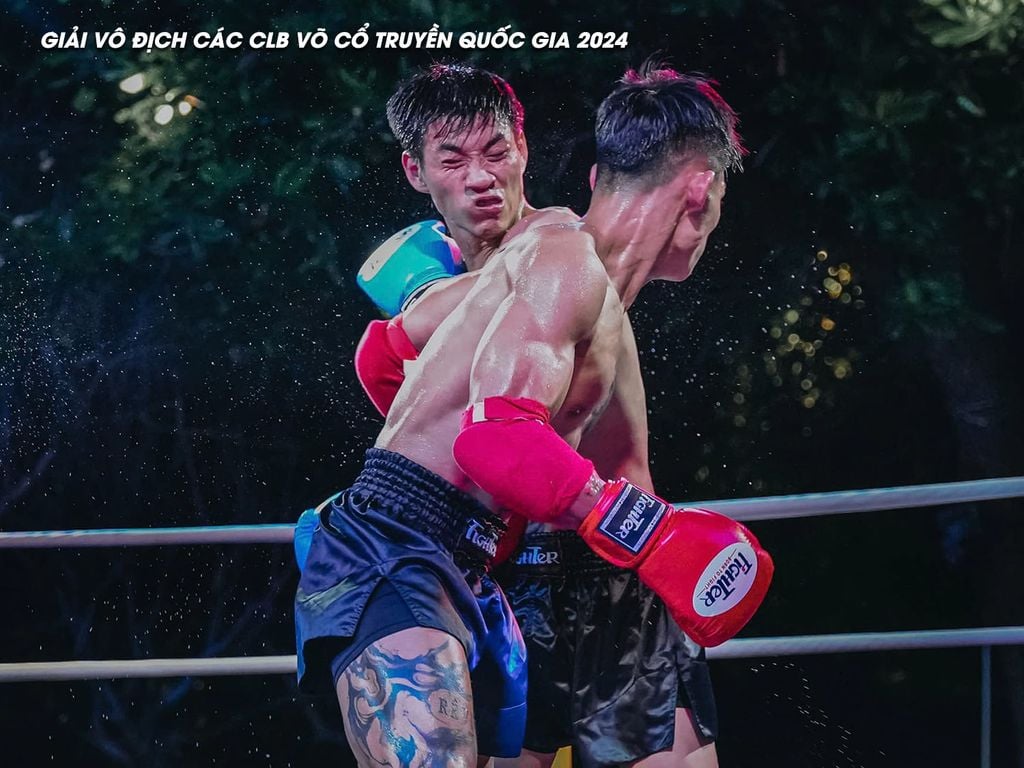Găng Thi Đấu Fighter - Boxing, Muay, KickBoxing, Tán Thủ, Võ Cổ Truyền Vovinam