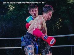 Găng Thi Đấu Fighter - Boxing, Muay, KickBoxing, Tán Thủ, Võ Cổ Truyền Vovinam