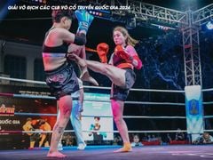 Găng Thi Đấu Fighter - Boxing, Muay, KickBoxing, Tán Thủ, Võ Cổ Truyền Vovinam