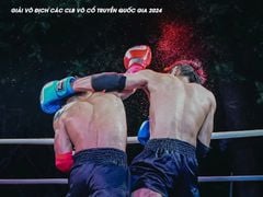Găng Fighter Cao Cấp Thi Đấu - Boxing, KickBoxing, Võ Cổ Truyền, Muay Thái