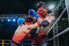 Găng Thi Đấu Fighter - Boxing, Muay, KickBoxing, Tán Thủ, Võ Cổ Truyền Vovinam