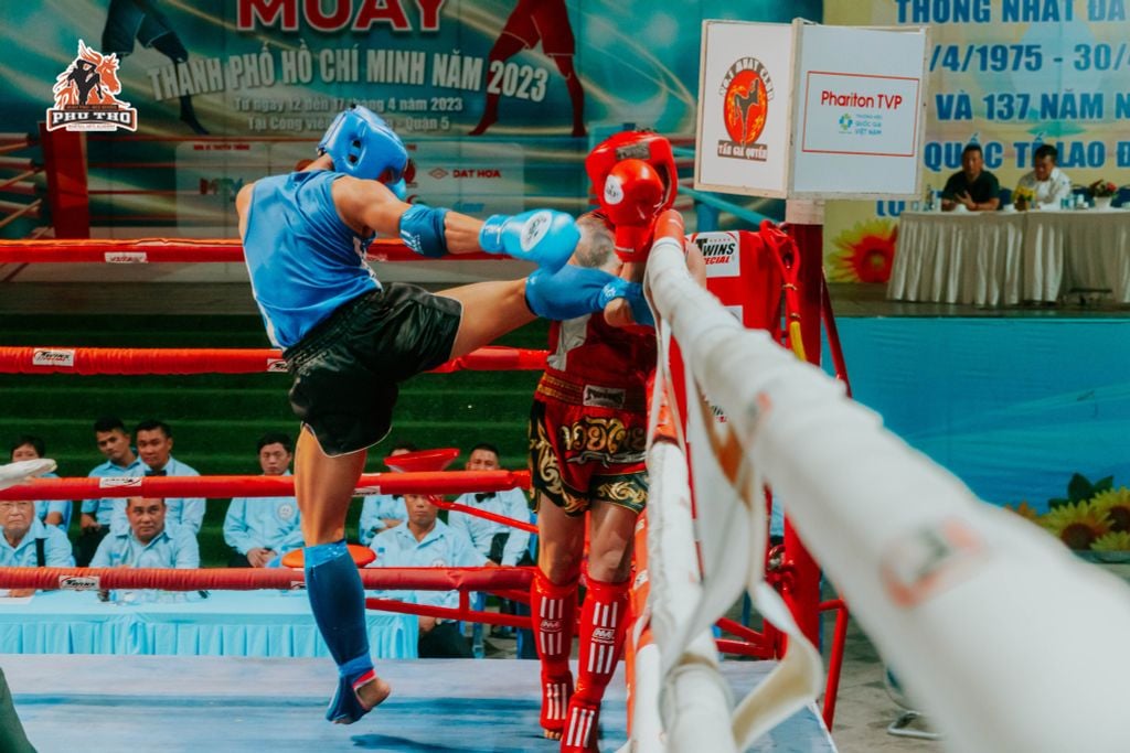 Găng Thi Đấu Fighter - Boxing, Muay, KickBoxing, Tán Thủ, Võ Cổ Truyền Vovinam