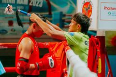 Găng Thi Đấu Fighter - Boxing, Muay, KickBoxing, Tán Thủ, Võ Cổ Truyền Vovinam