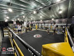 Sàn Đài Fighter Tập Luyện: Boxing, MuayThai, Kickboxing, Võ Cổ Truyền...