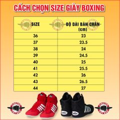 Giày Boxing Fighter PT