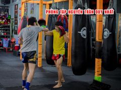 Bao Cát Fighter Cao Cấp 1.2m - 1.5m - 1.7m x ĐK 40cm - Vàng, Đen, Xanh, Nâu