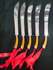 Liễu Đao Nhôm Võ Cổ Truyền PT