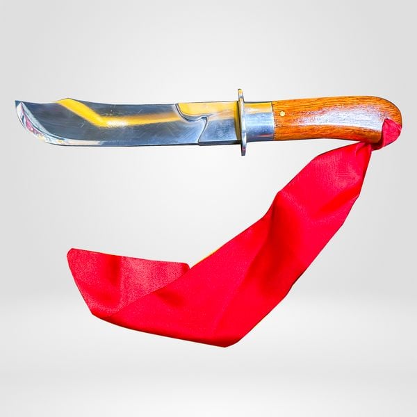 Đơn Dao Găm Vovinam PT