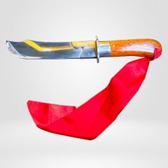 Đơn Dao Găm Vovinam PT