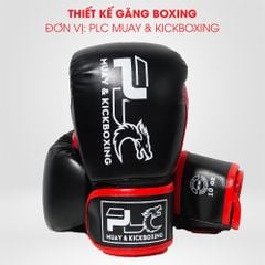Thiết kế Găng Boxing cho CLB - Võ Đường