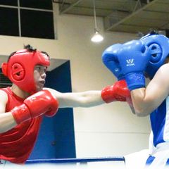 Mũ Thi Đấu Wesing - Boxing, Muay, Tán Thủ, KickBoxing, Võ Cổ Truyền