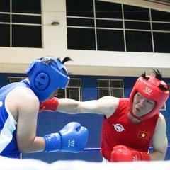 Mũ Thi Đấu Wesing - Boxing, Muay, Tán Thủ, KickBoxing, Võ Cổ Truyền