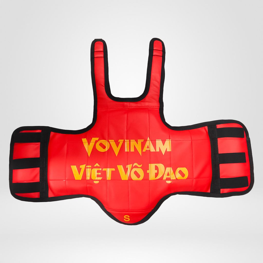 Giáp Vovinam Hai Mặt