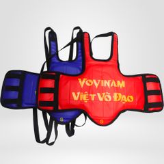 Giáp Vovinam Hai Mặt