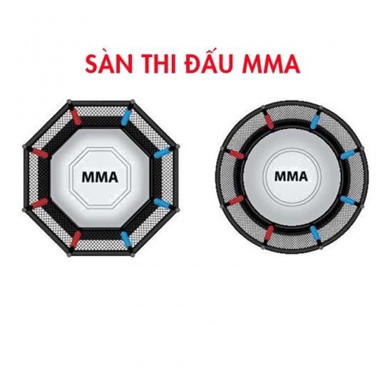 Sàn Thi Đấu MMA Tiêu Chuẩn Quốc Gia