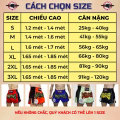 Quần Muay MMA Fighter  - Đen