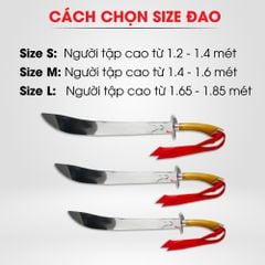 Liễu Đao Nhôm Võ Cổ Truyền PT