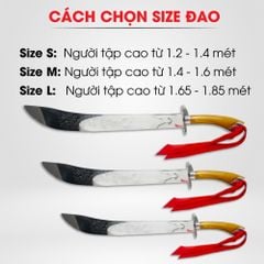 Liễu Đao Nhôm Võ Cổ Truyền PT - Chạm Rồng Phượng