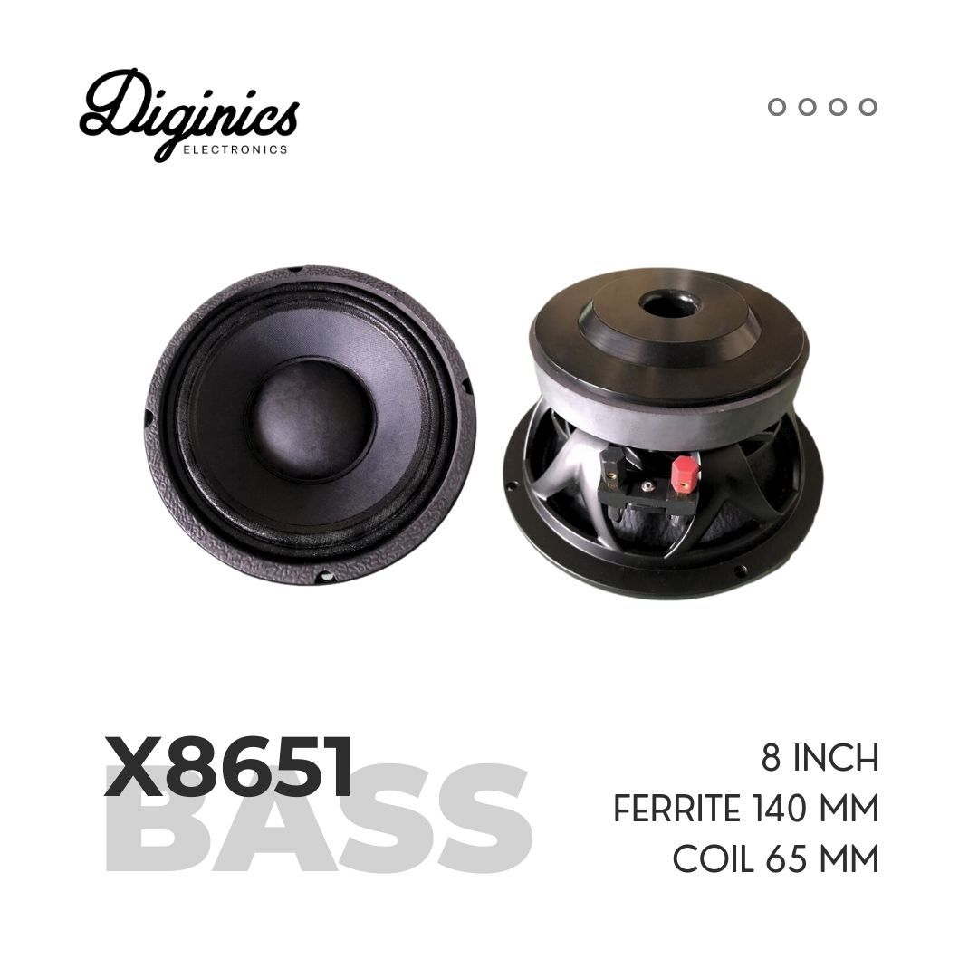  Bass 20 X8651 