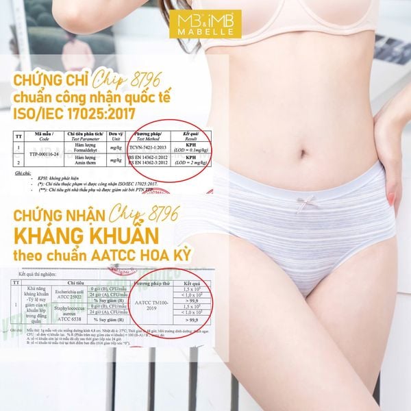 Quần lót kháng khuẩn làm mát MB 8796 cạp vừa