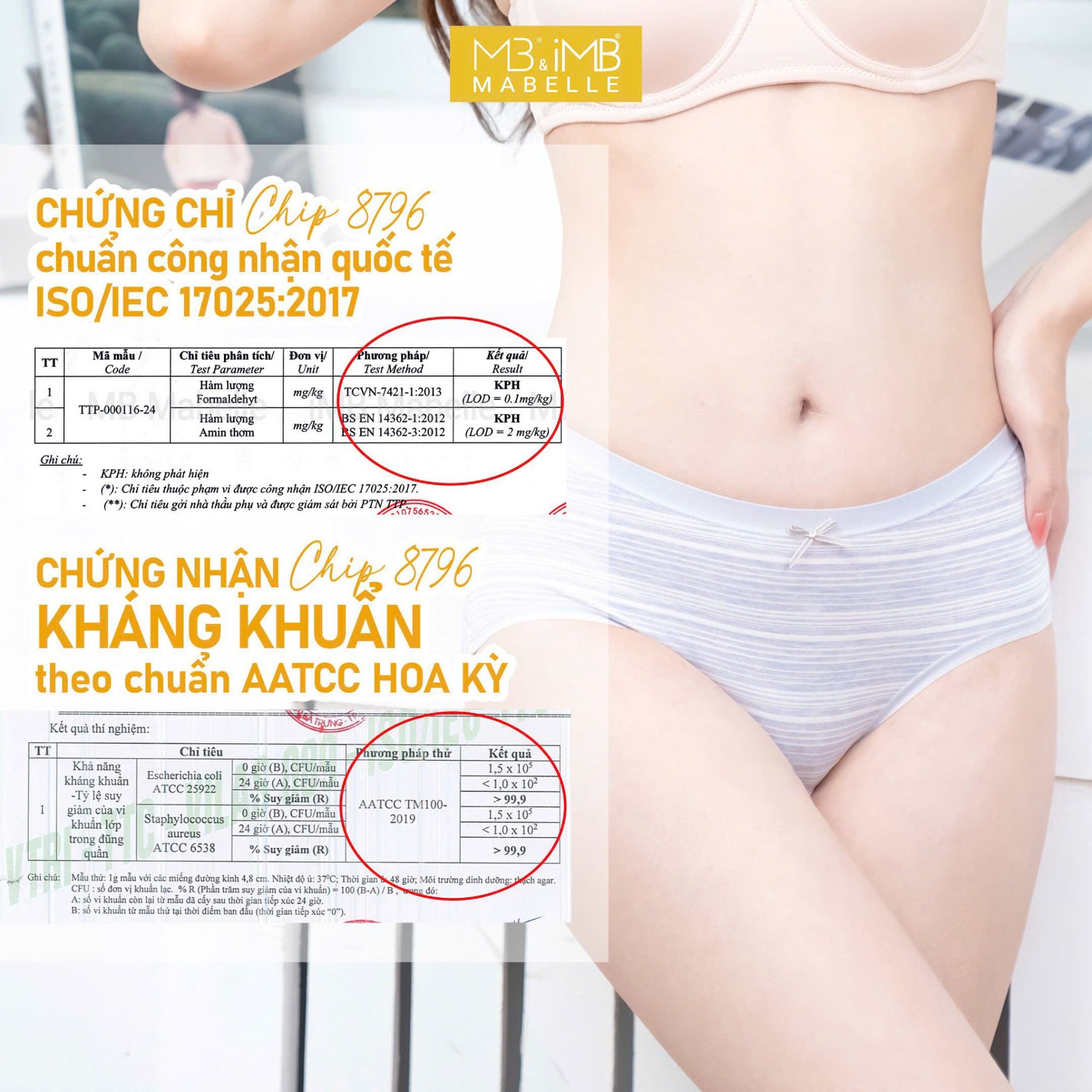 Quần lót kháng khuẩn làm mát MB 8796 cạp vừa