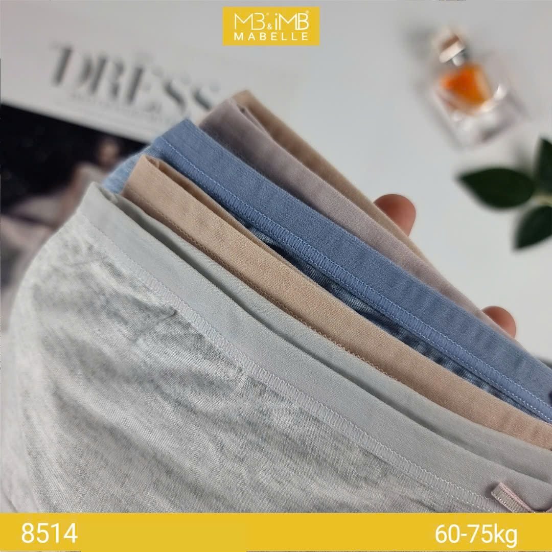 Quần lót khử khuẩn làm mát 8514 cạp vừa