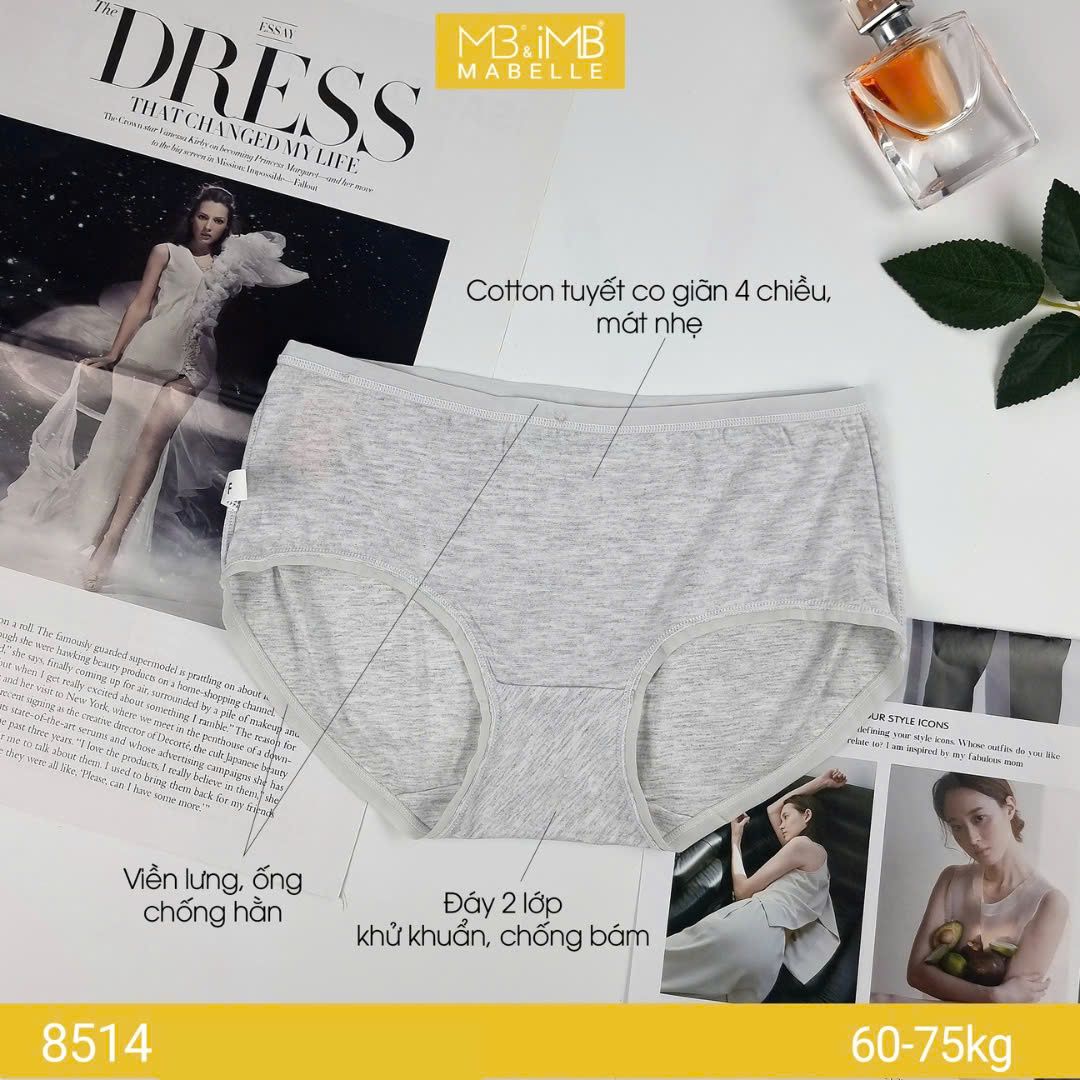 Quần lót khử khuẩn làm mát 8514 cạp vừa