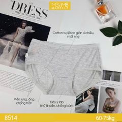 Quần lót khử khuẩn làm mát 8514 cạp vừa
