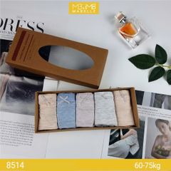 Quần lót khử khuẩn làm mát 8514 cạp vừa